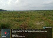 Diduga Kantongi Anggaran Perawatan Tanaman Belum Menghasilkan Menejemen PTPN IV Unit Bah Jambi Regional II