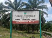 Diduga Hilang Tandan Buah Segar(TBS) Bulan Desember 2024 300Ton Dan dipulangkan Bulan Februari 2025,ada apa ya di PTPN IV Regional II Unit Kebun Mayang..???