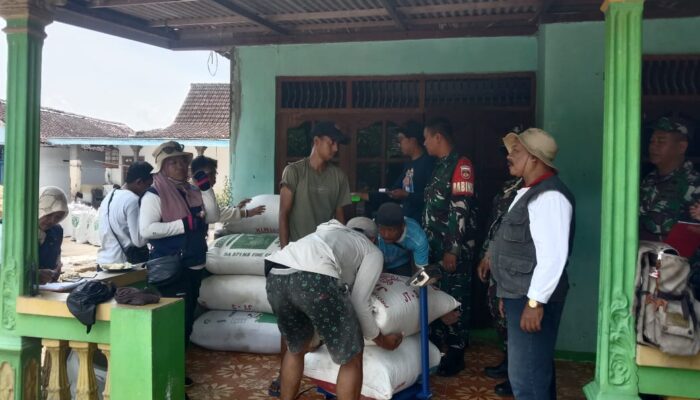 Babinsa Berkomunikasi dengan Gapoktan: Membangun Sinergi untuk Ketahanan Pangan