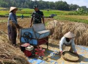 Peran Aktif Babinsa Wonosegoro Dampingi Petani