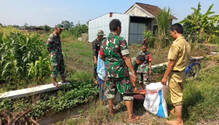 Babinsa Sawit Terjun Langsung Bantu Petani Desa Manjung