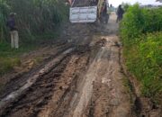 Empat Truk Material Batu Maqadam Diturunkan Di Jalan Bertanah Demi Para Petani, Gunung Sahari Mauk