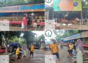 Gyatha Farm Sediakan Hewan Kurban Berkualitas, Mulai dari Sapi Limousin hingga Kambing Boer