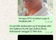 Kepala Balai GAKKUM Sumatra diminta tangkap DPO dan mafia Tanah kawasan hutan di Tapan, Pesisir selatan, Sumatra Barat