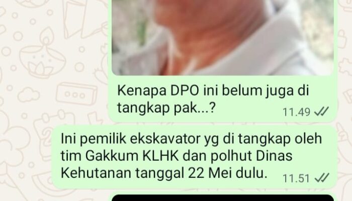 Kepala Balai GAKKUM Sumatra diminta tangkap DPO dan mafia Tanah kawasan hutan di Tapan, Pesisir selatan, Sumatra Barat