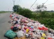 Penguna Jalan Keluhkan Adanya Aroma Tak Sedap di Bahu Jalan