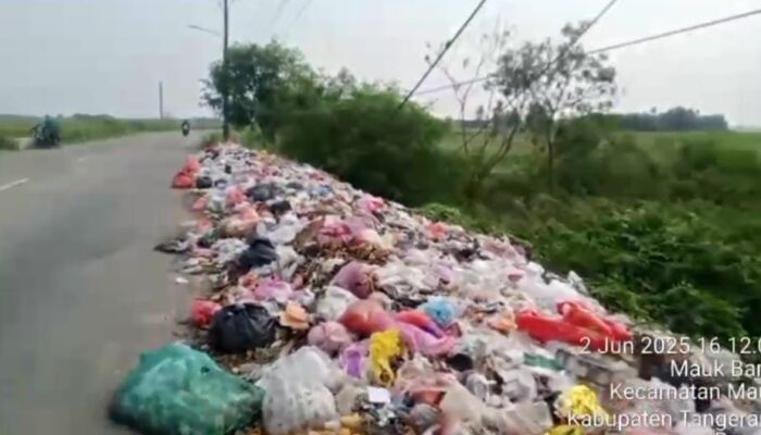 Penguna Jalan Keluhkan Adanya Aroma Tak Sedap di Bahu Jalan