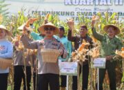 Komitmen Pati untuk Ketahanan Pangan: Dari Panen Raya hingga Target 180 Ribu Ton Jagung