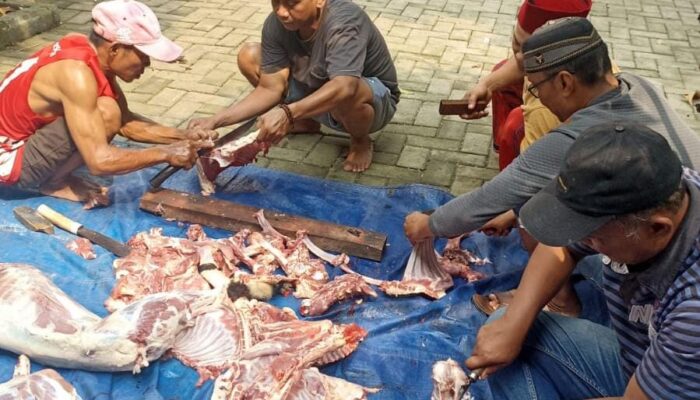 KJK Tangerang Raya Berkurban di Situ Gede, Wujudkan Kepedulian Sosial Lewat Idul Adha 1446 H