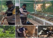 Bhabinkamtibmas Margomulyo bersama warga binaan Bangun Pekarangan Terintegrasi untuk Mendukung Ketahanan Pangan