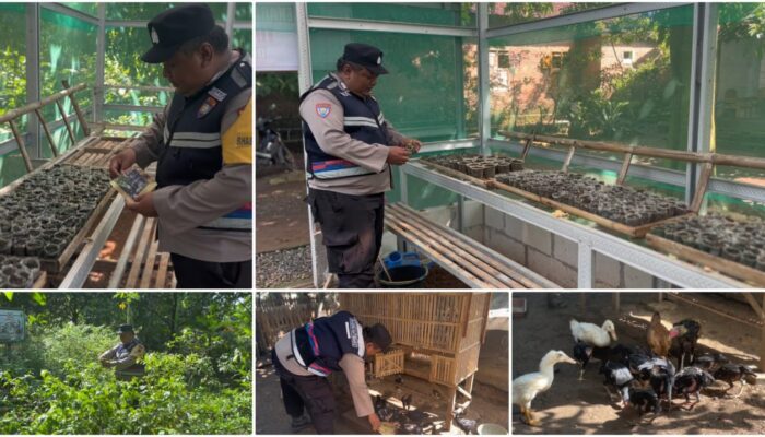 Bhabinkamtibmas Margomulyo bersama warga binaan Bangun Pekarangan Terintegrasi untuk Mendukung Ketahanan Pangan