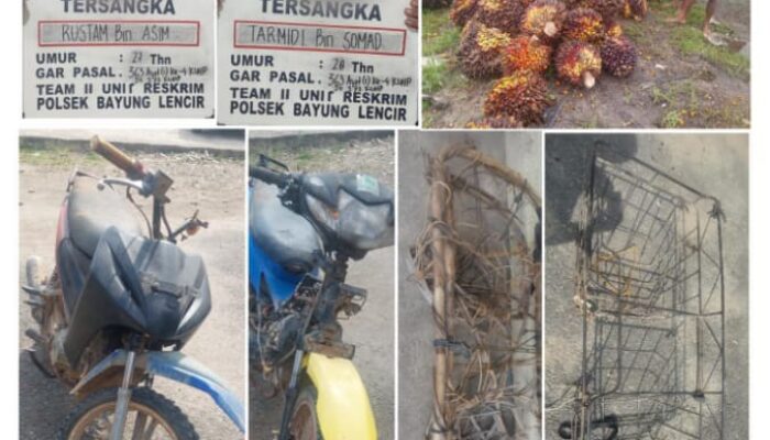 Dua Pelaku Pencurian Buah Sawit 1 Ton Di Ringkus Polsek Bayung Lencir, Dua Lainnya Masih DPO