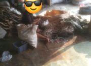 Pengepul Limbah di Rawa Bokor Tangerang, Produksi Limbah Rumah Diduga Tidak Mempunyai Izin Resmi