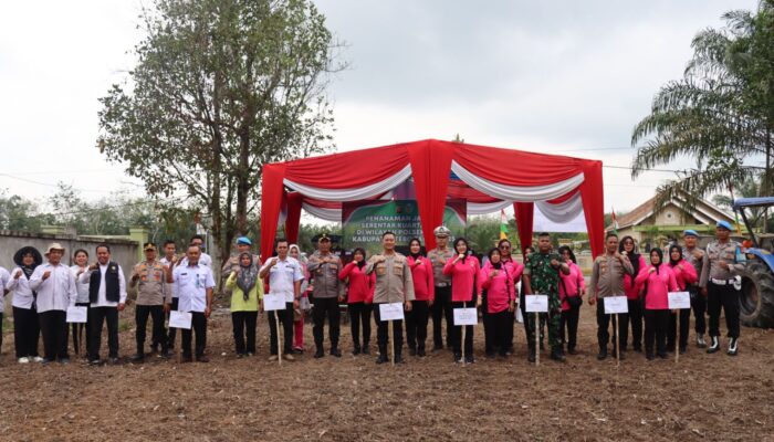 Kapolres Tebo Pimpin Langsung Penanaman Jagung di Kecamatan Sumay dan dilaksanakan serentak di Polsek Jajaran Polres Tebo