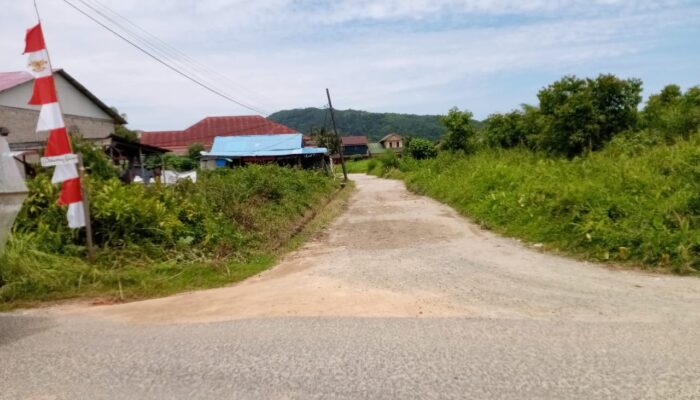 Jelang HUT RI Ke 80 tahun “umbul – umbul ” Hilang di Jl.Kelapa sawit Lingkungan IV, Kelurahan Kalangan di Duga di Curi