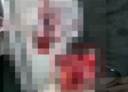 Terjepit Mesin Pabrik PT. Tri Excella Harmony, Jari Tangan Seorang Buruh Terancam Cacat Permanen