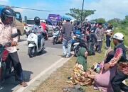 Tragedi di Jalan Raya Muncung: Pickup Rombongan Peziarah Terbalik, Satu Tewas
