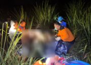 Polsek Pati Kota Gerak Cepat Tangani Penemuan Mayat di Ladang Tebu Mulyoharjo o