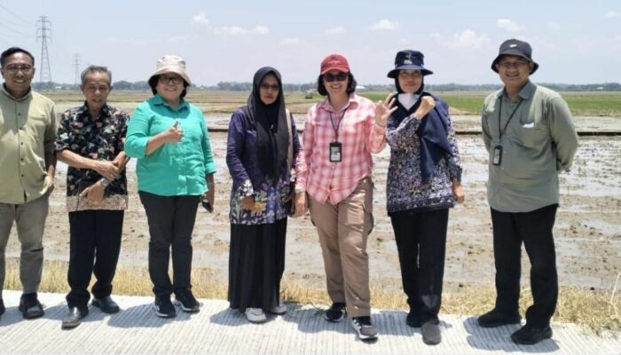 Dinas Pertanian Pati Terima Kunjungan Direktur Hilirisasi Hasil Tanaman Pangan