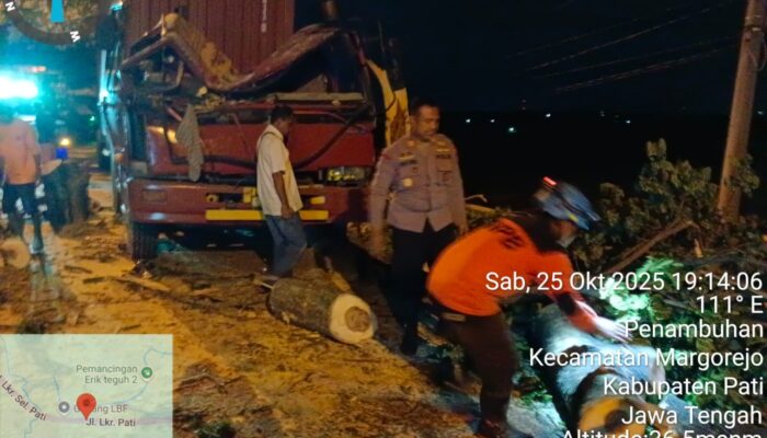Truk Kontainer Tabrak Pohon Trembesi di Jalan Lingkar Selatan Pati, Polisi Gerak Cepat Evakuasi Lokasi
