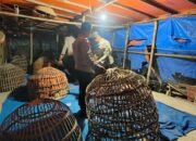 Polres Lamongan Bongkar Arena Judi Sabung Ayam di Dua Lokasi