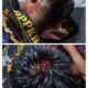 Korban Pengeroyokan di Kafe Sakura, Cikarang Barat, Keluhkan Lambatnya Penanganan Kasus oleh Polres Bekasi Kota