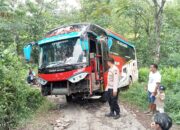 Bus Rombongan Ziarah Terperosok Ditanjakan Desa Plukaran Gembong, Tak Ada Korban Jiwa