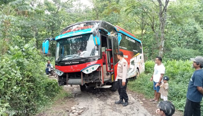 Bus Rombongan Ziarah Terperosok Ditanjakan Desa Plukaran Gembong, Tak Ada Korban Jiwa