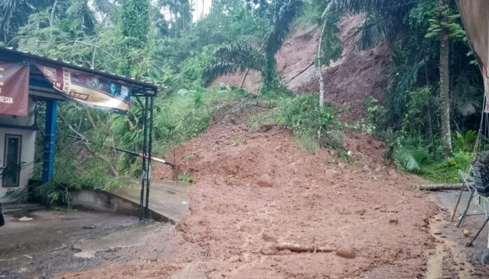 Hujan Deras Sebabkan Longsor di Pakenjeng, Akses Jalan Jatiwangi–Lintas Selatan Tertutup Total