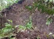 Warga Kp. Cipeundeuy Waswas Saat Hujan Deras, Debit Air Meluap dan Tanah Mulai Longsor