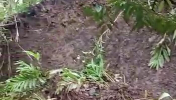 Warga Kp. Cipeundeuy Waswas Saat Hujan Deras, Debit Air Meluap dan Tanah Mulai Longsor