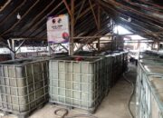 Aktivis Dan Gabungan Lembaga Mendesak Kapolres Muba Segera Tangkap Pelaku Ileggal Refenery Terbakar  Diduga Di Bekengi Koperasi Inkotani Perindo