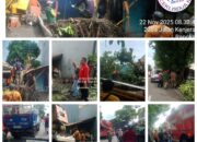 Hujan Deras Disertai Angin Kencang, Pohon Besar Tumbang Timpa Rumah Warga 