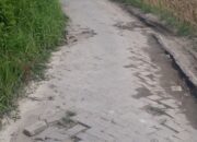 Jalan Rusak Di Kp Salimah Tak Kunjung Di Perbaiki, Warga Geram Terhadap Kades