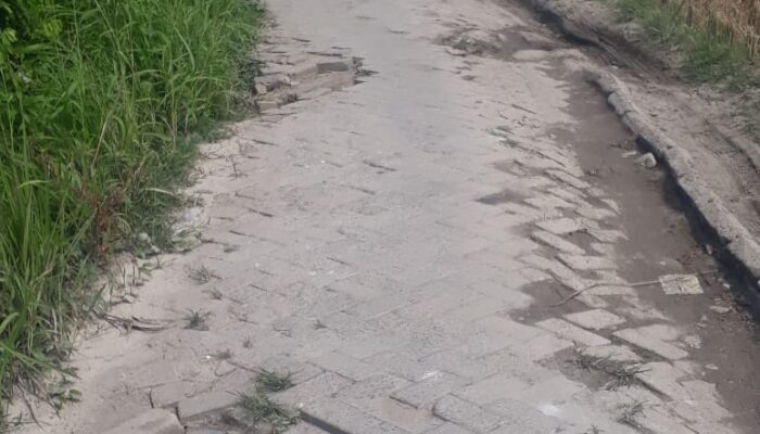 Jalan Rusak Di Kp Salimah Tak Kunjung Di Perbaiki, Warga Geram Terhadap Kades