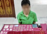Polda Riau Bongkar Jaringan Narkoba, Aset Rp15 Miliar Disita dari Bandar