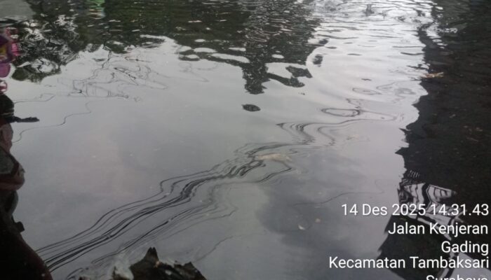 Hujan Deras Disertai Angin Kencang, Sejumlah Wilayah Surabaya Kecamatan Tambaksari Tergenang Air