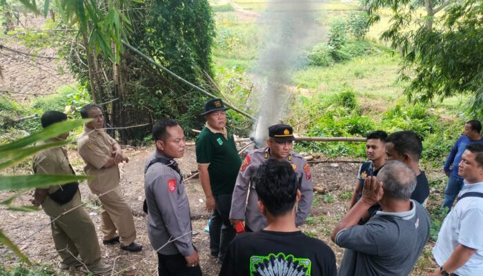 Arena Judi Sabung Ayam di Desa Mendalan Pandaan Dibakar, Polisi Tegaskan Tak Ada Toleransi Perjudian