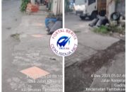 Aksi Mencurigakan: Tiga Orang Turunkan Dua Kotak Berisi Ayam secara cepat di Depan Apotik Silviana, Warga Resah