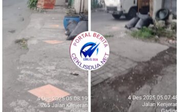 Aksi Mencurigakan: Tiga Orang Turunkan Dua Kotak Berisi Ayam secara cepat di Depan Apotik Silviana, Warga Resah