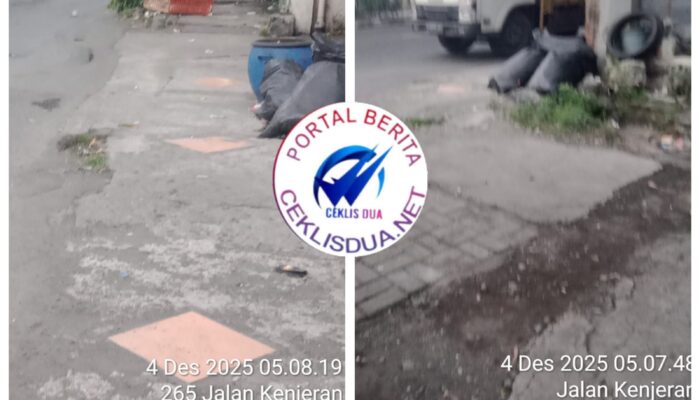 Aksi Mencurigakan: Tiga Orang Turunkan Dua Kotak Berisi Ayam secara cepat di Depan Apotik Silviana, Warga Resah