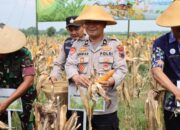 Polresta Pati Laksanakan Panen Raya Jagung Serentak Kuartal IV Tahun 2026 sebagai Penguatan Ketahanan Pangan
