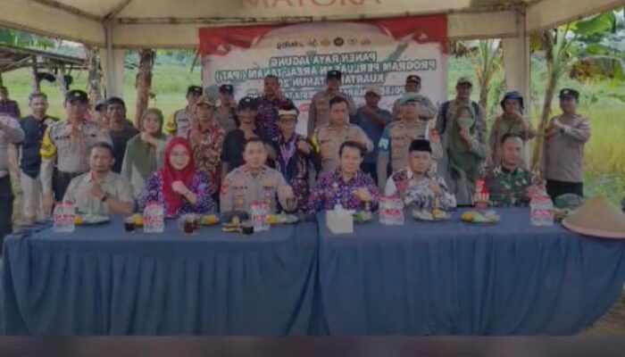 Panen Jagung Kuartal I dan Grebeg Posyandu Jadi Bukti Sinergi Pembangunan di Sukamulya