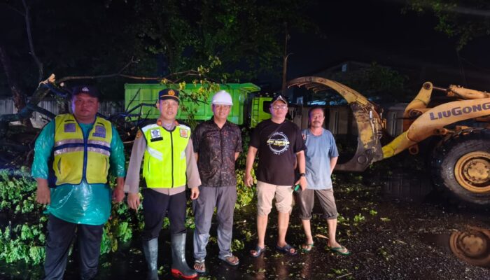 Polsek Tayu Sigap Tangani Pohon Tumbang di Jalur Pati–Tayu, Arus Lalin Kembali Lancar