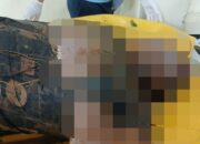 Pria Asal Demak Ditemukan Meninggal di Tepi Sungai Bedah Pati, Polisi Pastikan Tak Ada Tanda Kekerasan