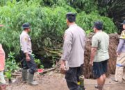 Pohon Bambu Tumbang Tutupi Aliran Sungai, Polsek Tlogowungu Bergerak Cepat Bersama Warga Wonorejo