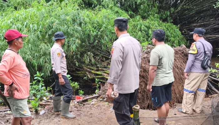 Pohon Bambu Tumbang Tutupi Aliran Sungai, Polsek Tlogowungu Bergerak Cepat Bersama Warga Wonorejo