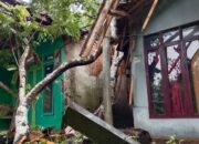 Angin Kencang di Garut Selatan, Dahan Pohon Petai Tumbang Timpa Dua Rumah Warga