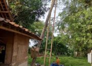 Tiang Listrik Miring Parah di Kampung Kukulu Ancam Keselamatan Warga