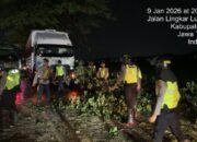 Sat Samapta Polresta Pati Evakuasi Pohon Tumbang di Tlogowungu, Jalan Lancar Lagi